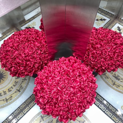 Alternative view of Hoa Valentine 14/2